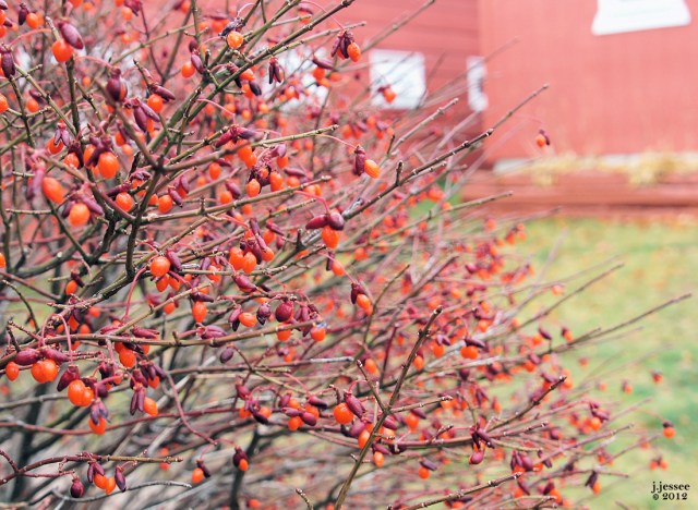The Terrace Motel - Munising, Michigan