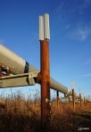 Trans-Alaska Pipeline
